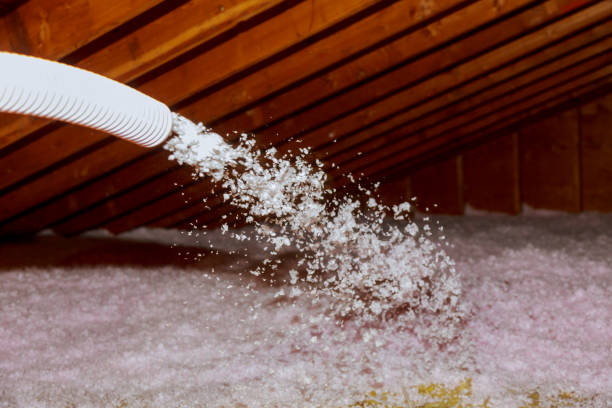 Best Attic Insulation Installation  in Morrisville, NC