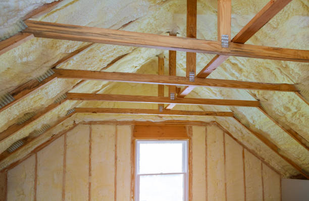 Best Cellulose Insulation  in Morrisville, NC