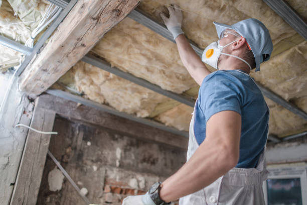 Best Home Insulation Services  in Morrisville, NC