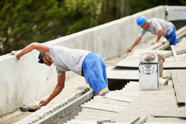 Best Professional Insulation Contractor  in Morrisville, NC