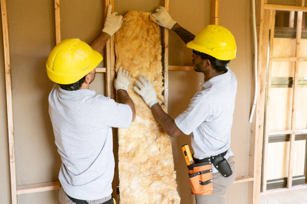Best Insulation Contractor Near Me  in Morrisville, NC