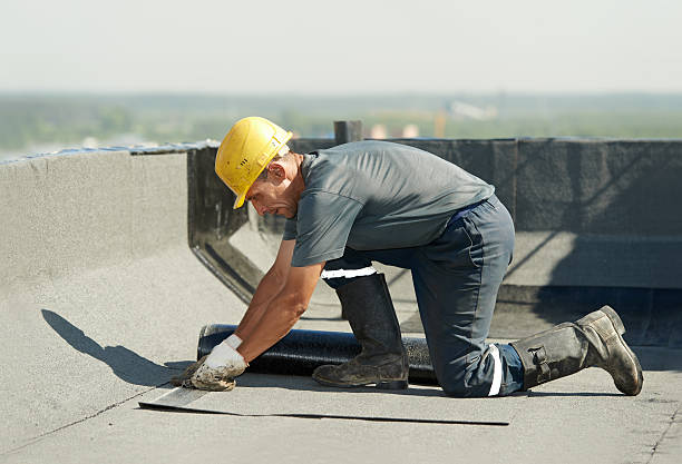 Best Commercial Insulation Contractor  in Morrisville, NC