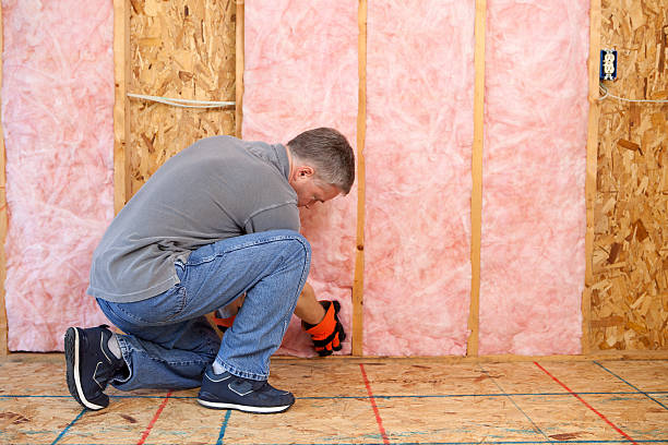 Best Spray Foam Insulation  in Morrisville, NC